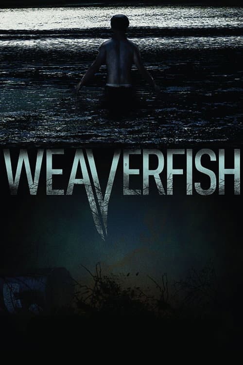 Affiche du film Weaverfish (2013)