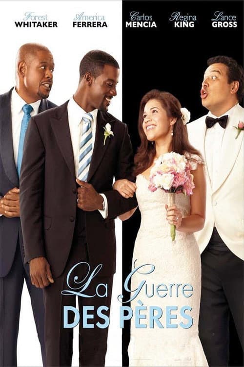 Affiche du film Our Family Wedding (2010)