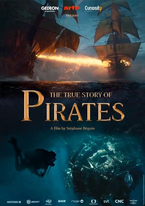 La Véritable histoire des pirates (2022) movie poster