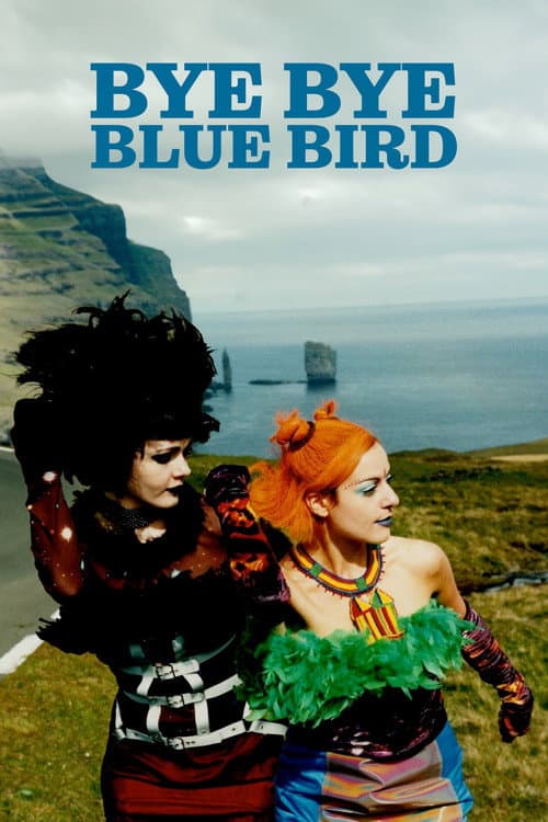 Bye Bye Blue Bird (1999) movie poster