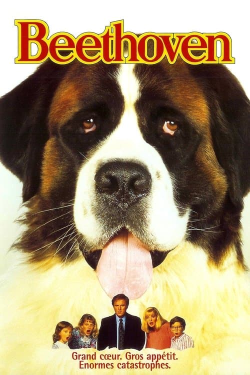 Affiche du film Beethoven (1992)