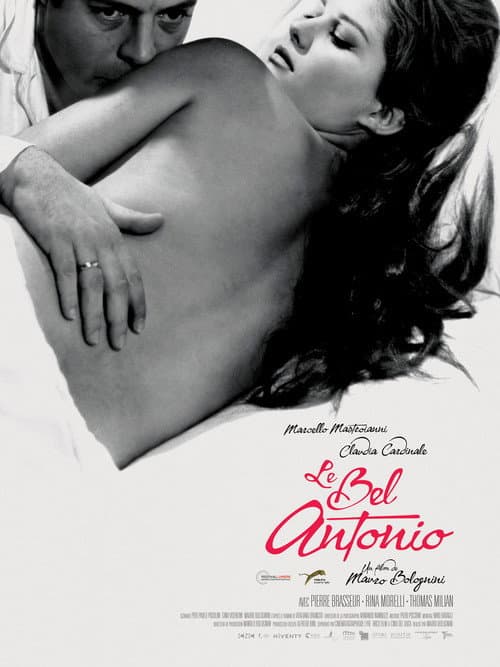 Affiche du film Il bell'Antonio (1960)