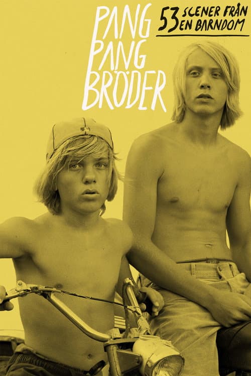 Pangpangbröder: 53 scener från en barndom (2011) movie poster