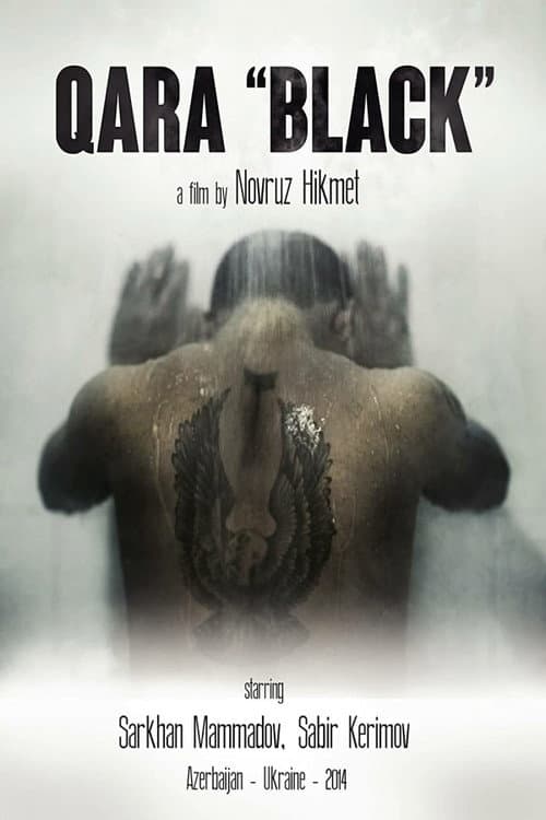 Qara (2014) movie poster