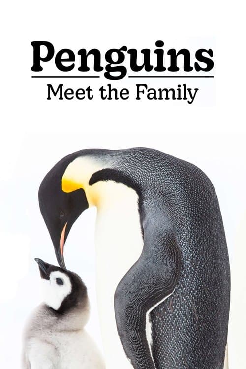 ملصق فيلم Penguins: Meet the Family (2020)