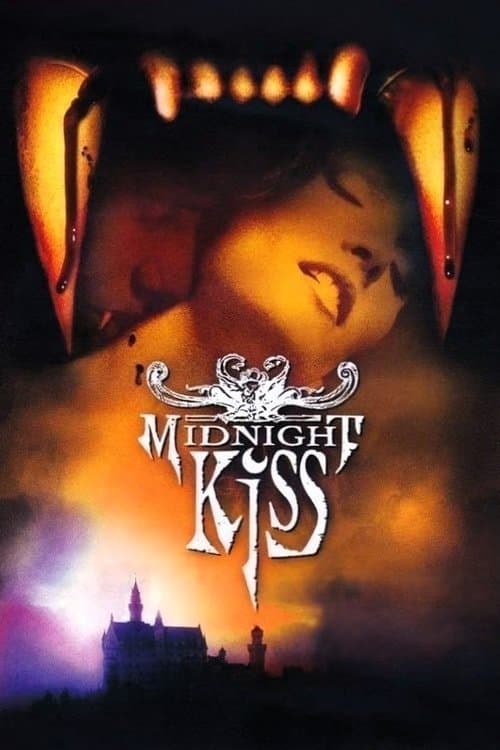 Affiche du film Midnight Kiss (1993)
