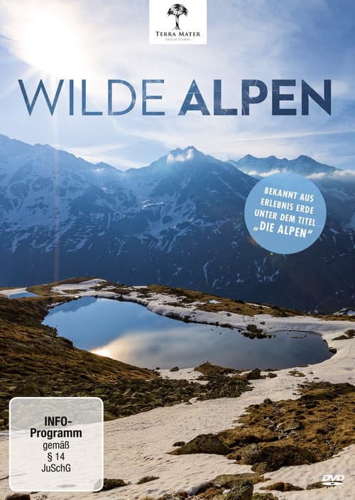 ملصق فيلم Wilde Alpen (2020)
