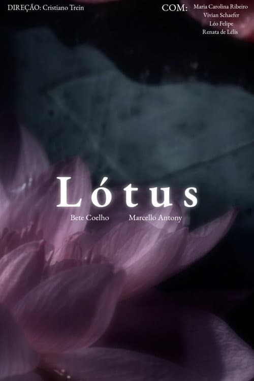 Affiche du film Lótus (2006)