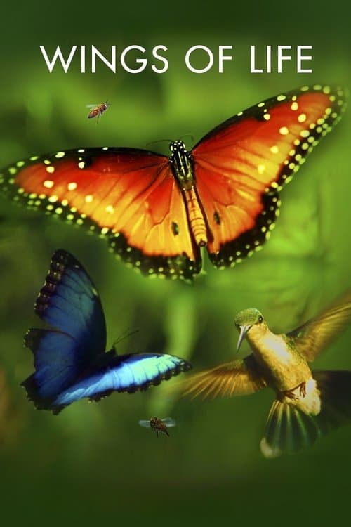 Wings of Life (2011) movie poster