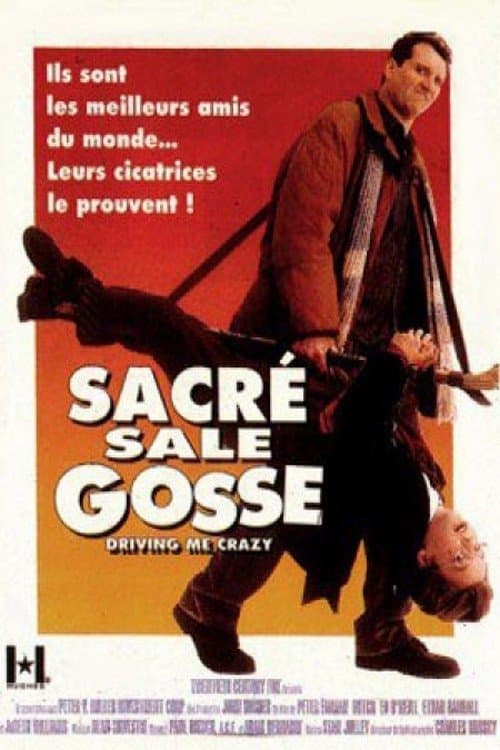 Affiche du film Dutch (1991)