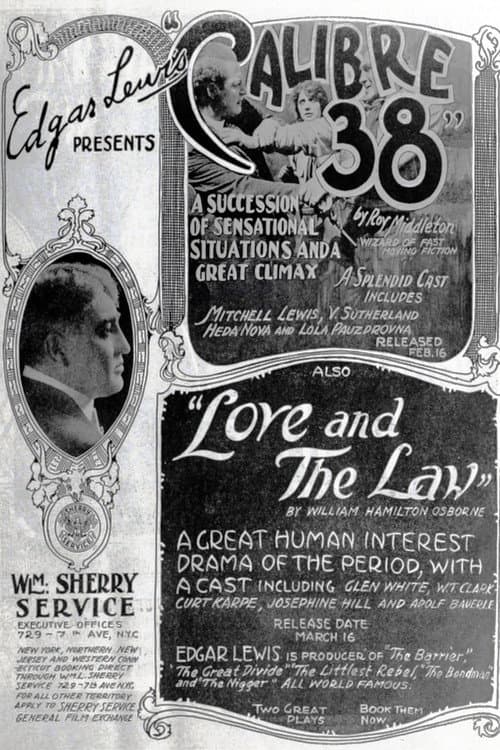 Calibre 38 (1919) movie poster