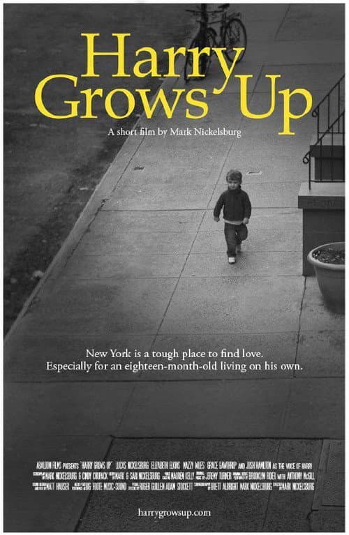 ملصق فيلم Harry Grows Up (2012)