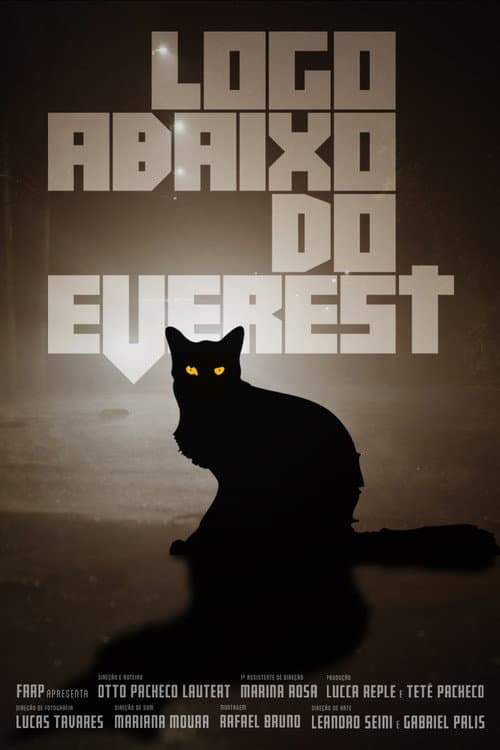 Logo Abaixo do Everest movie poster