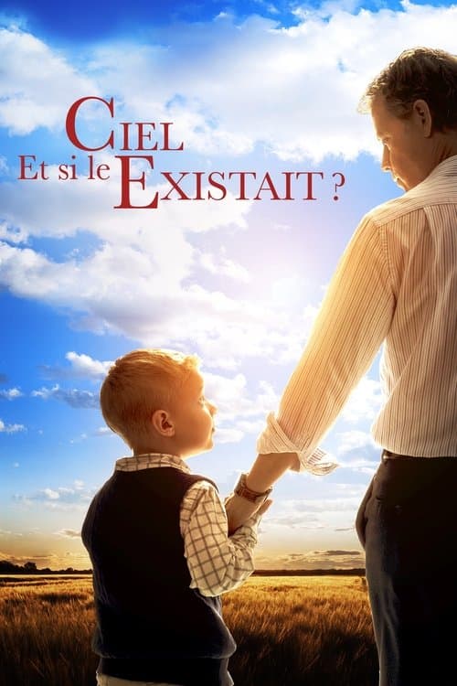 Affiche du film Heaven Is for Real (2014)