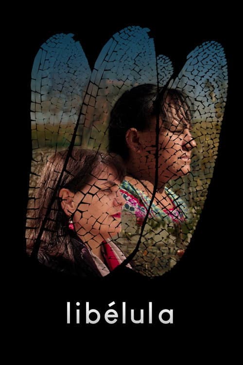 ملصق فيلم Libélula