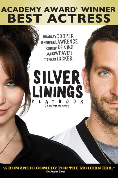 Affiche du film Silver Linings Playbook (2012)