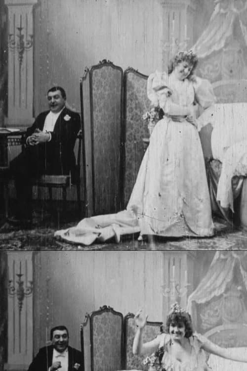 Le Coucher de la Mariée (1896) movie poster