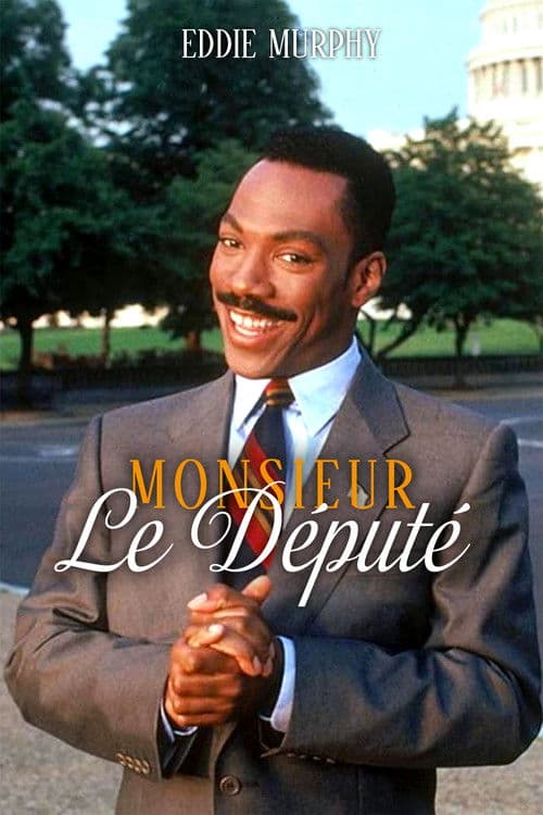 Affiche du film The Distinguished Gentleman (1992)