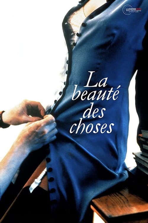 Affiche du film Lust och fägring stor (1995)