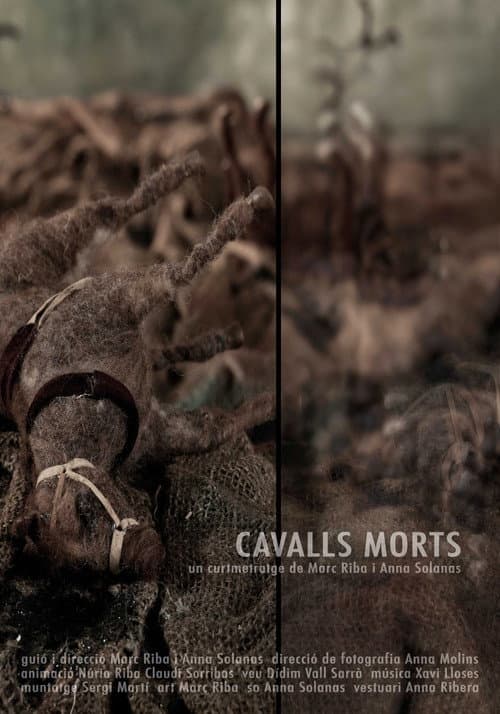 Affiche du film Cavalls morts (2016)