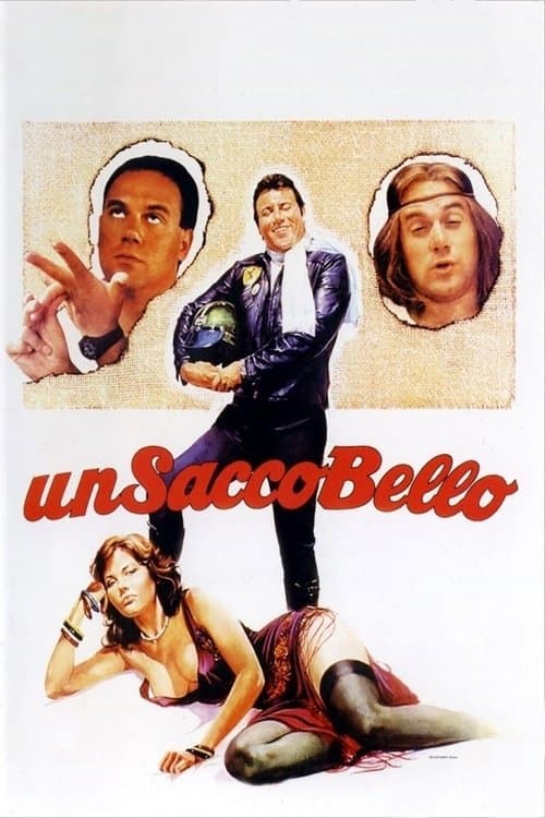 Un sacco bello (1980) movie poster