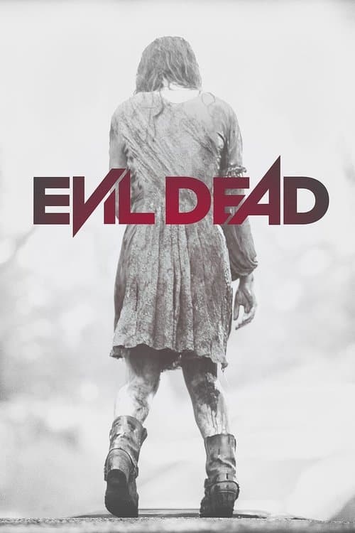 Affiche du film Evil Dead (2013)