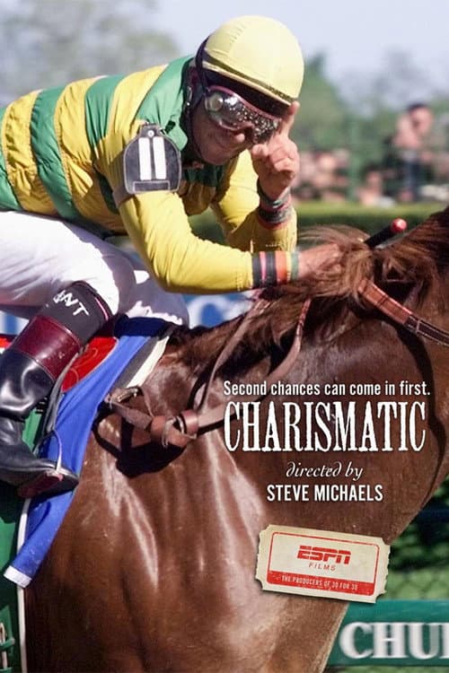 Charismatic (2011) movie poster