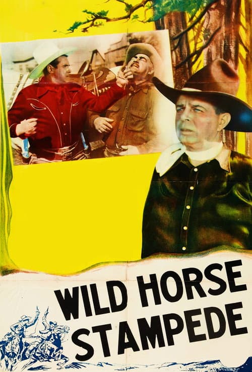 Wild Horse Stampede (1943) movie poster