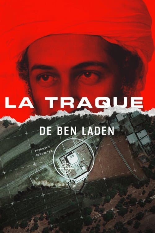 Affiche du film Revealed: The Hunt for Bin Laden (2021)