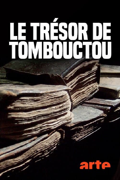 Affiche du film Der Schatz von Timbuktu, die Geschichte einer Rettung (2017)
