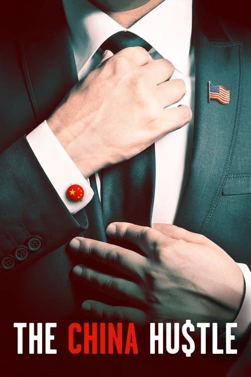 Affiche du film The China Hustle (2018)