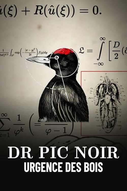 Affiche du film Dr Pic Noir, urgence des bois (2023)