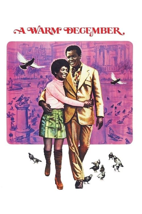 Affiche du film A Warm December (1973)