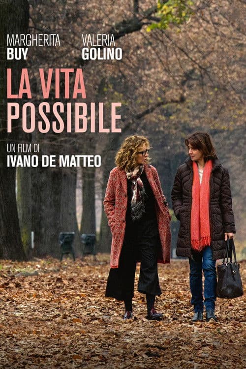 Affiche du film La vita possibile (2016)