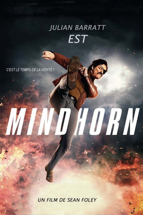 Affiche du film Mindhorn (2016)