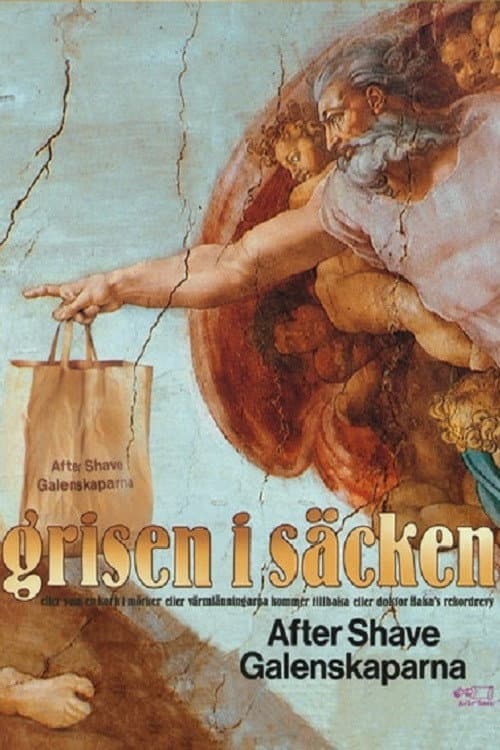 Affiche du film Grisen i säcken (1992)