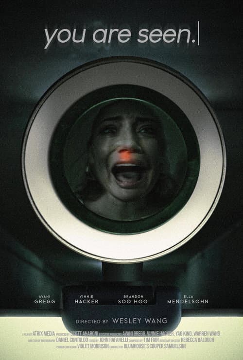you are seen. (2024) movie poster