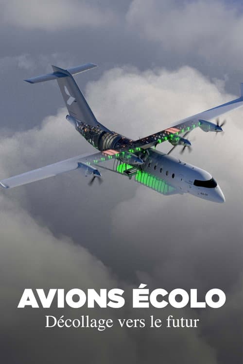 Affiche du film Grünes Fliegen - Reisen in der Zukunft (2024)