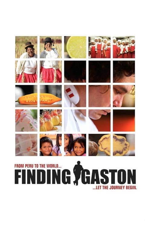 Buscando a Gastón (2014) movie poster
