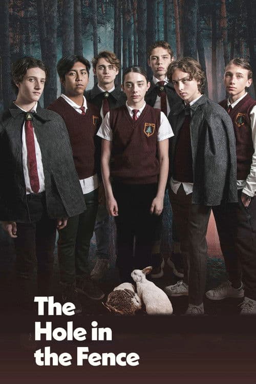 El hoyo en la cerca (2021) movie poster