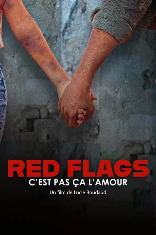 Affiche du film Red Flags – c’est pas ça l’amour (2025)