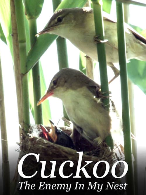Cuckoo: The Enemy In My Nest (2017) movie poster