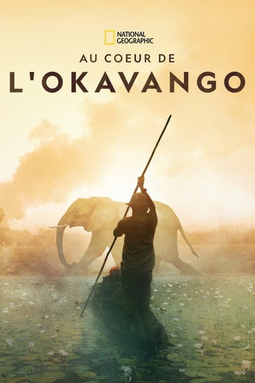 Affiche du film Into the Okavango (2018)