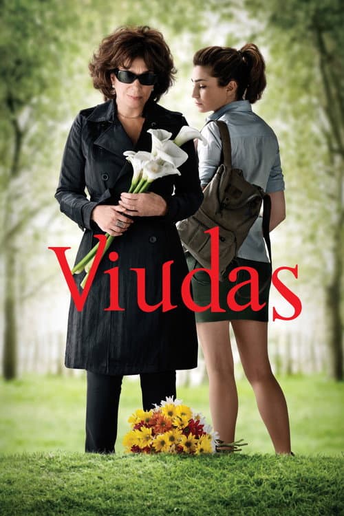 ملصق فيلم Viudas (2011)
