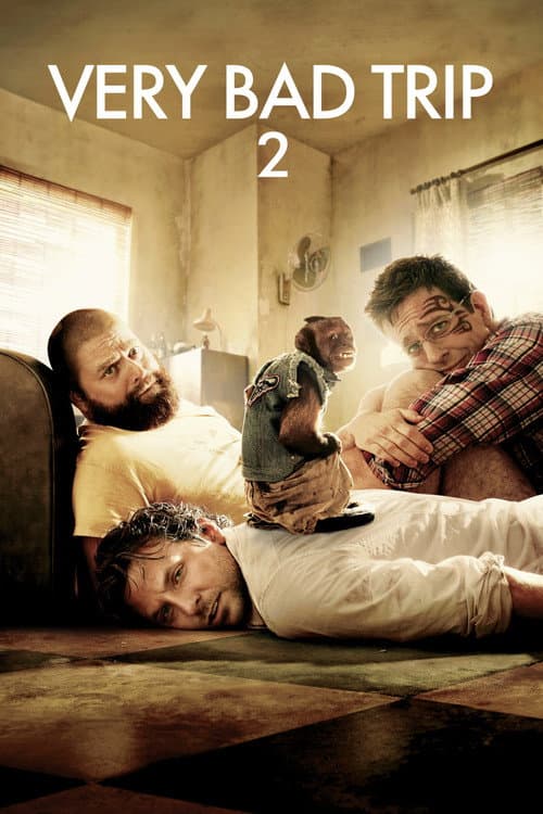 Affiche du film The Hangover Part II (2011)