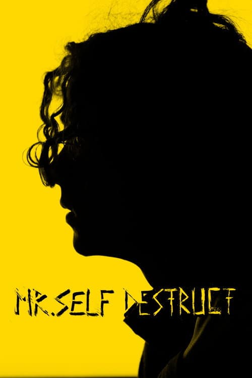 Affiche du film MR. SELF DESTRUCT (2022)