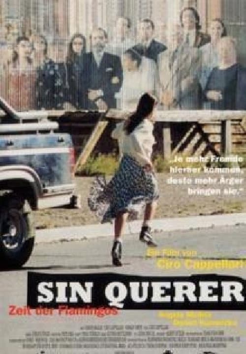 Affiche du film Sin querer (1997)