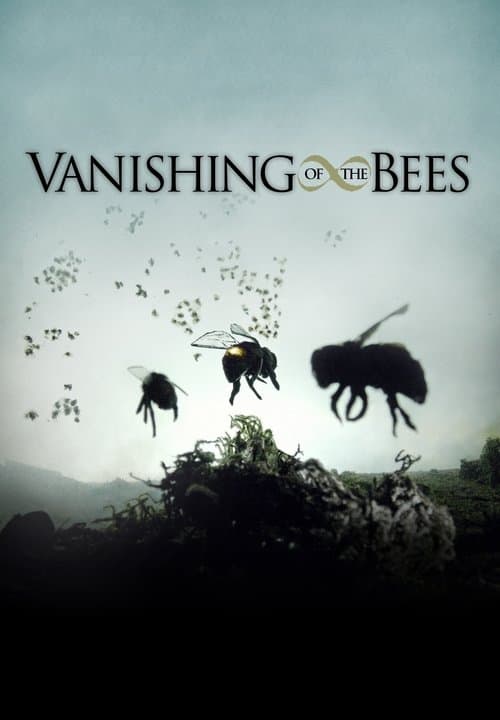 ملصق فيلم Vanishing of the Bees (2009)
