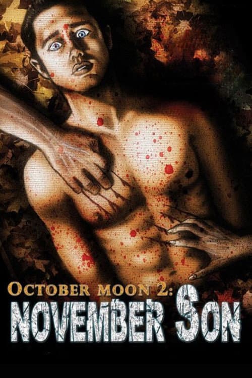 Affiche du film October Moon 2: November Son (2008)