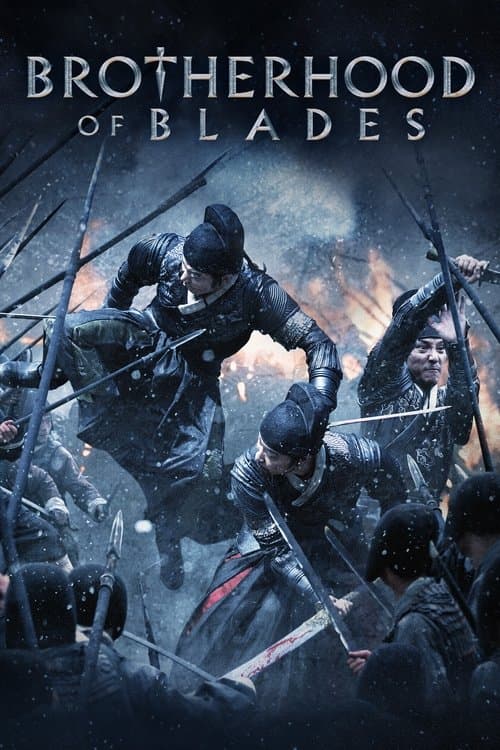 绣春刀 (2014) movie poster